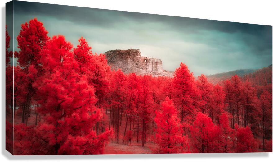 Crimson Dreamscape: Crazy Horse Canvas Print