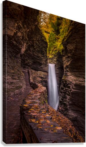 Watkins Glen Serenity: Tranquil Gorge Path to A Majestic Waterfall Canvas Print