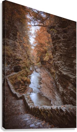 Autumn Gorge Canvas Print