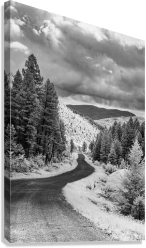 Ethereal Journey: Winding Roads of Elkhorn Ghost Town in Montana  Canvas Print
