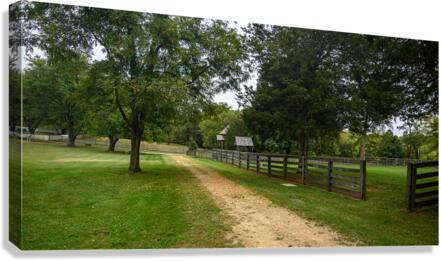 Green Serenity: Unveiling the Enchanting Path a Hidden House in Appomattox Courthouse Canvas Print