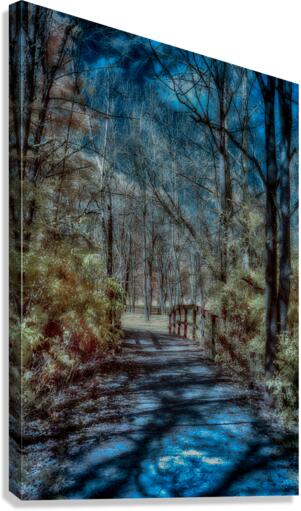Vivid Trails: A Colorful Infrared Journey at Knox Dam Canvas Print