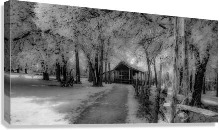 Barn Path  Canvas Print