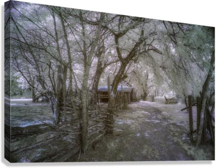 Farm path - 1 Canvas Print