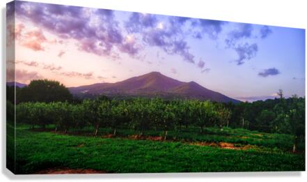 Light Peaks of Otter Canvas Print