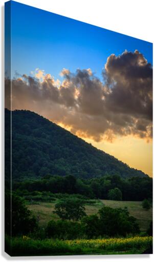 Virginias Golden Veil Canvas Print