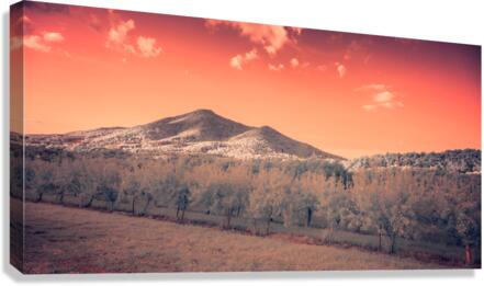 Orange Mountain Shine  Canvas Print