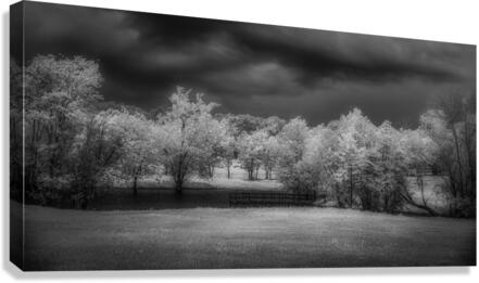 Moody Moments: Texas Roadside Pond Canvas Print