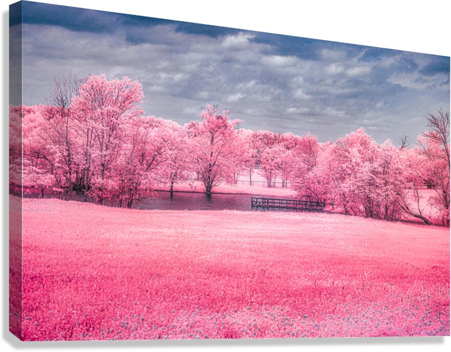 Exploring Texas: A Cotton Candy Roadside Pond Canvas Print