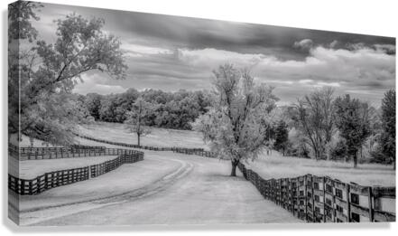 Journey Beyond: Traversing the Worn Road of Appomattox Courthouse Town Canvas Print