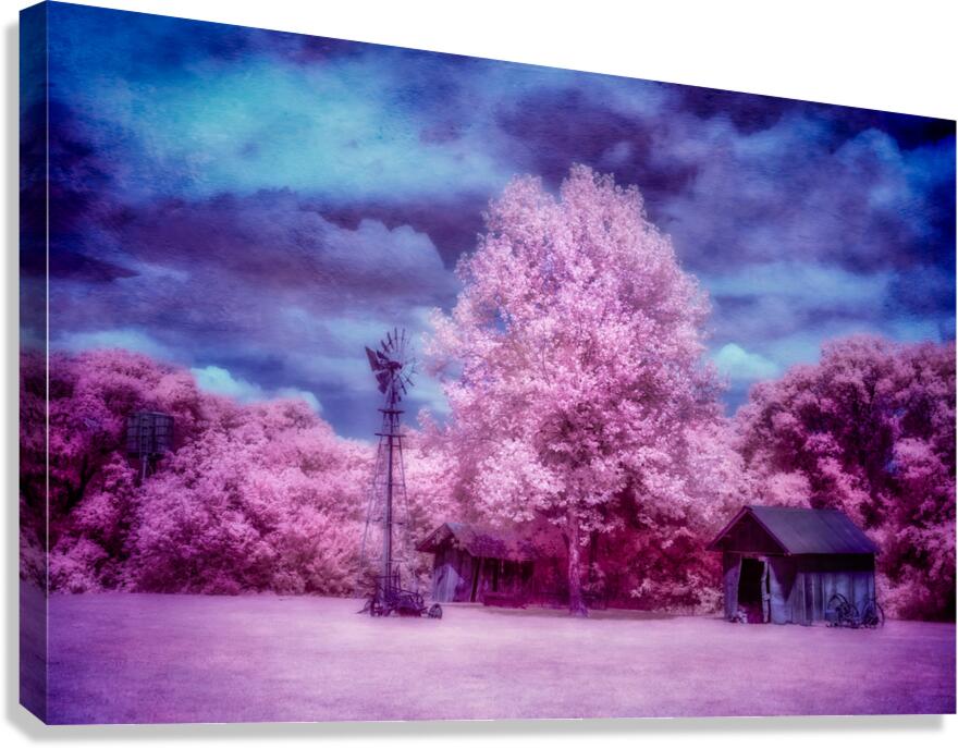 Windmill Wonders: Rustic Pink Charm Canvas Print