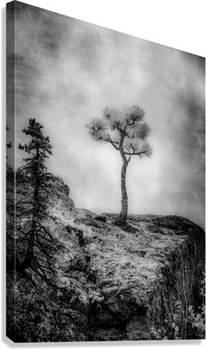 Serene Sylvan Lake: Alone on the Hill Canvas Print