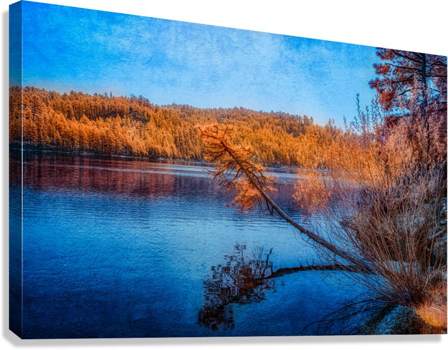 Arboreal Embrace: Trees Embracing the Tranquil Waters Canvas Print