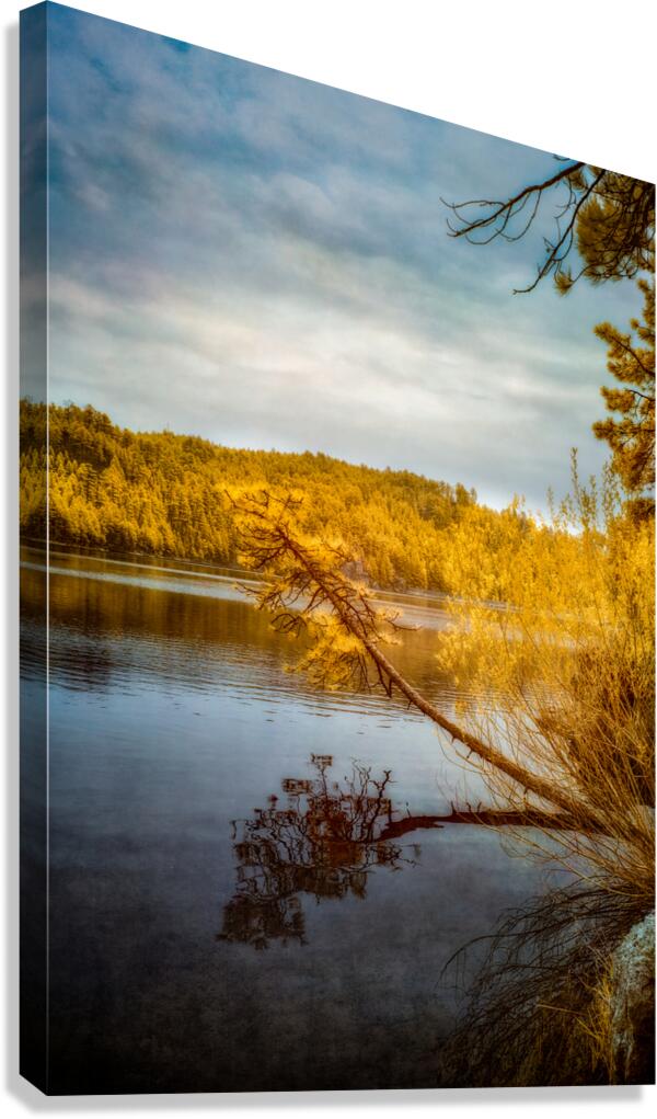 Shadows and Reflections: Overhanging Trees on Center Lake Canvas Print