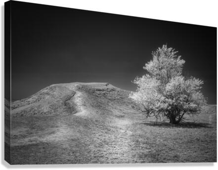 Silent Beauty: Navigating the Badlands Canvas Print