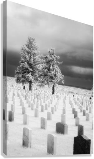 Guardians of Valor Canvas Print