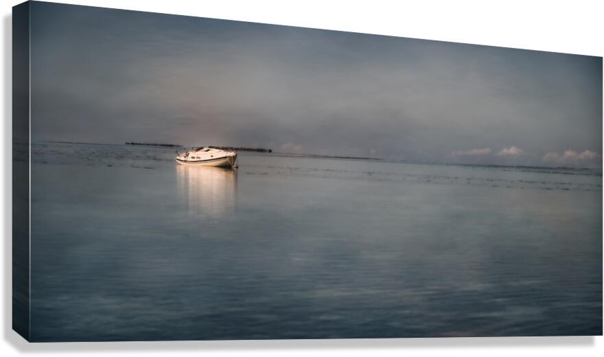 Maritime Melancholy: Shipwrecked Serenity Canvas Print