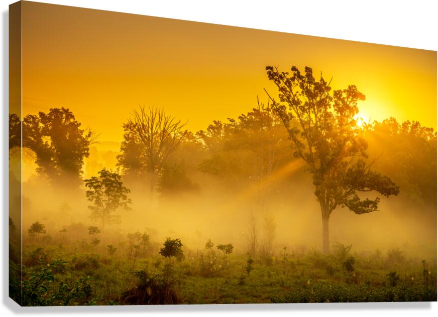 Misty Morning Glow: Dawn in Gettysburg Canvas Print