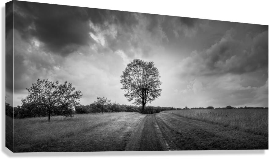 Majestic Solitude: An Evening Ride Through History Canvas Print