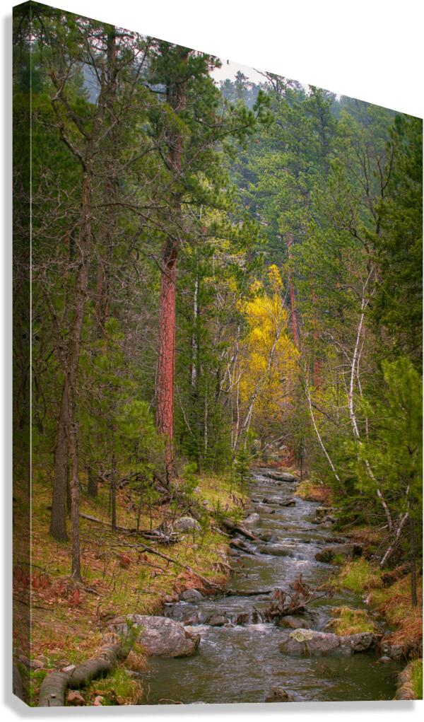 Autumnal Glow: Exploring Grace Coolidge Creeks Vibrant Palette   Canvas Print