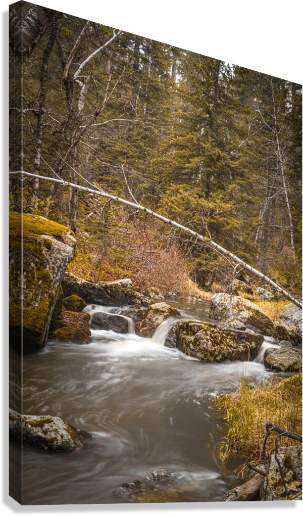 Enchanting Cascades: A Hikers Discovery Along Grace Coolidge Creek Canvas Print