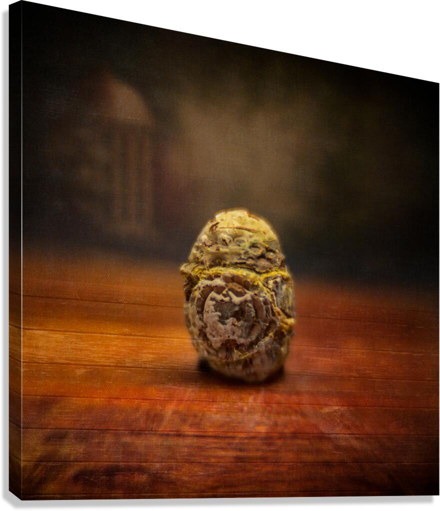 Natures Imprint: Egg-shaped Rock with Weathered Elegance Canvas Print