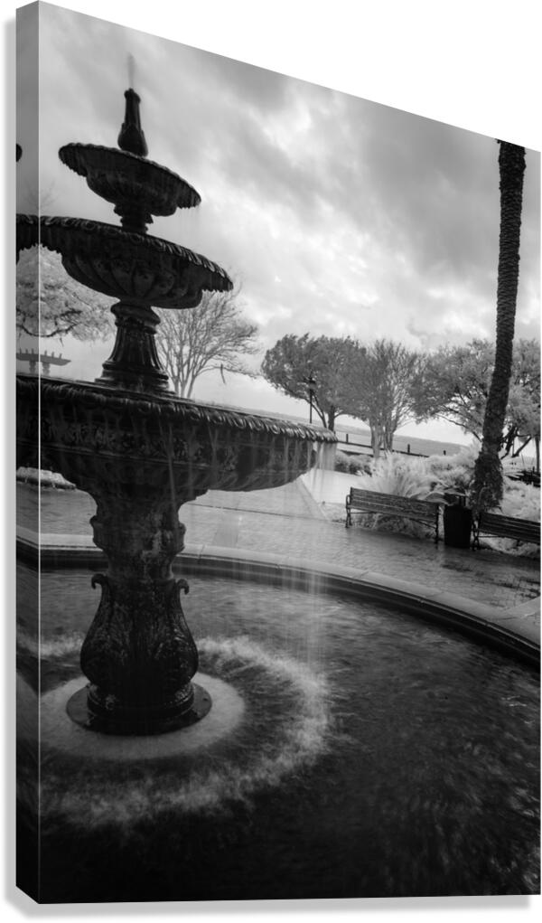Monochromatic Elegance: Rainy Day Reverie at the Fountain in Sai  Canvas Print