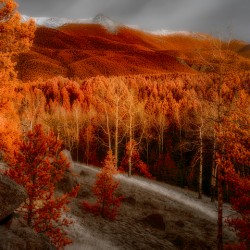 Mueller Aspen Series: Autumns Palette