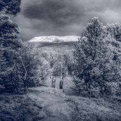 Mueller Aspen Series: Mountain Trail Tranquility