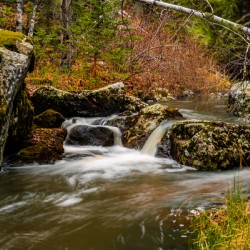 Enchanting Cascades: A Hikers Discovery Along Grace Coolidge Creek - 2
