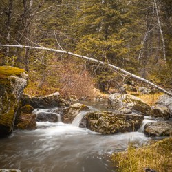 Coolidge Creek Mini Waterfall - 2