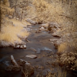Grace Coolidge Creek -6