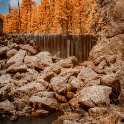 Infrared Elegance: Unveiling the Enchanting Grace Coolidge Creek
