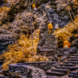 Golden Steps Ascent: A Color Infrared Symphony in Watkins Glen State Park