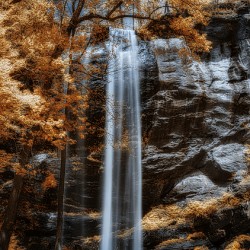 Tranquil Veil - Golden Falls
