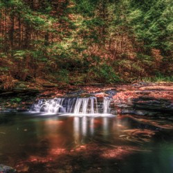 Autumn Symphony: A Serene Day at Ricketts Glen State Park Penns