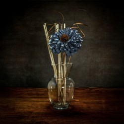 Aquatic Blossom: Blue Flower in Clear Vase with Reeds