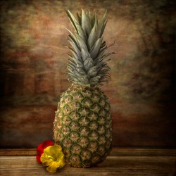 Tropical Symphony: Pineapple and Flowers Still Life Fine Art