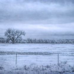 Wyomings Solitary Sentinel: A Moody Day in Fort Laramie