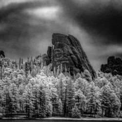 Sylvan Shadows: A Moody Encounter with Natures Drama in Custer State Park