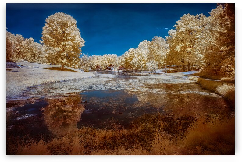 Dreamscape Reflections at Forest Lake by Dream World Images