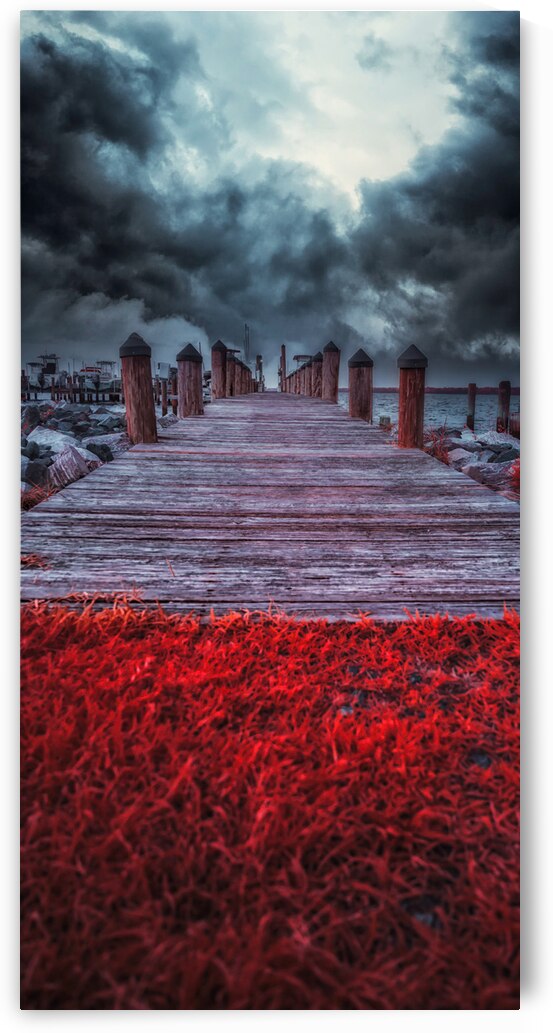 Storms Dance: A Memorable Infrared Moment on Brooms Island Maryland by Dream World Images