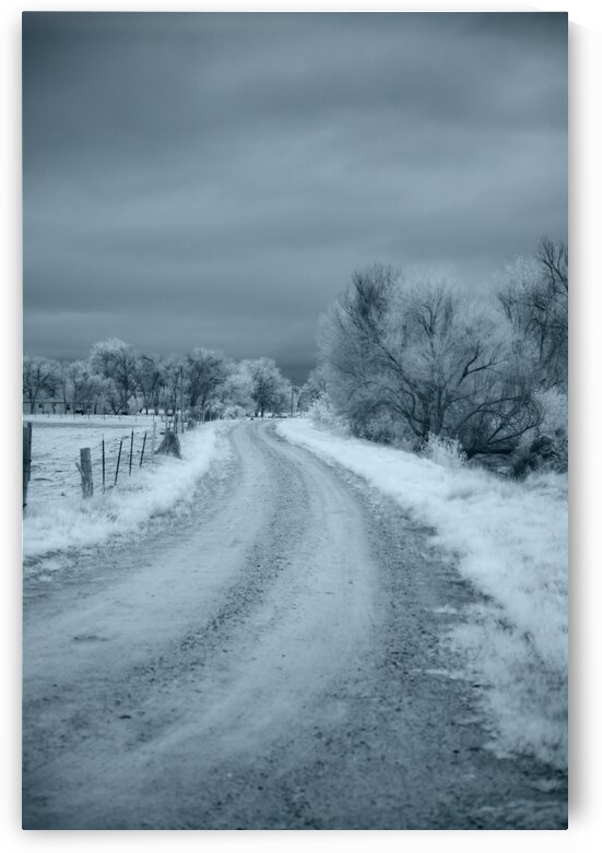 Solitary Trails: Wyoming Farm Lane Wanderlust by Dream World Images