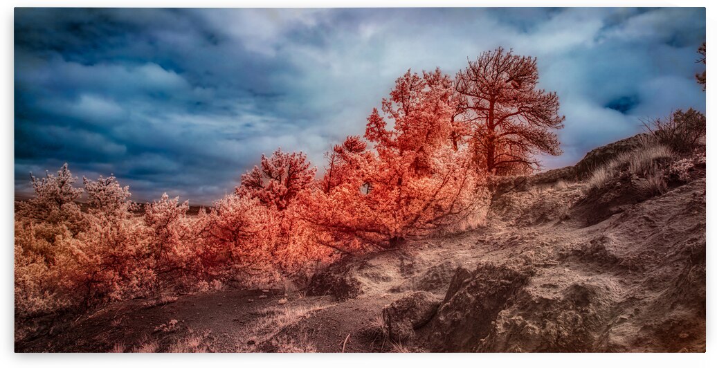 Firescape Fables: Exploring Oregon Trail Ruts in Wyoming by Dream World Images