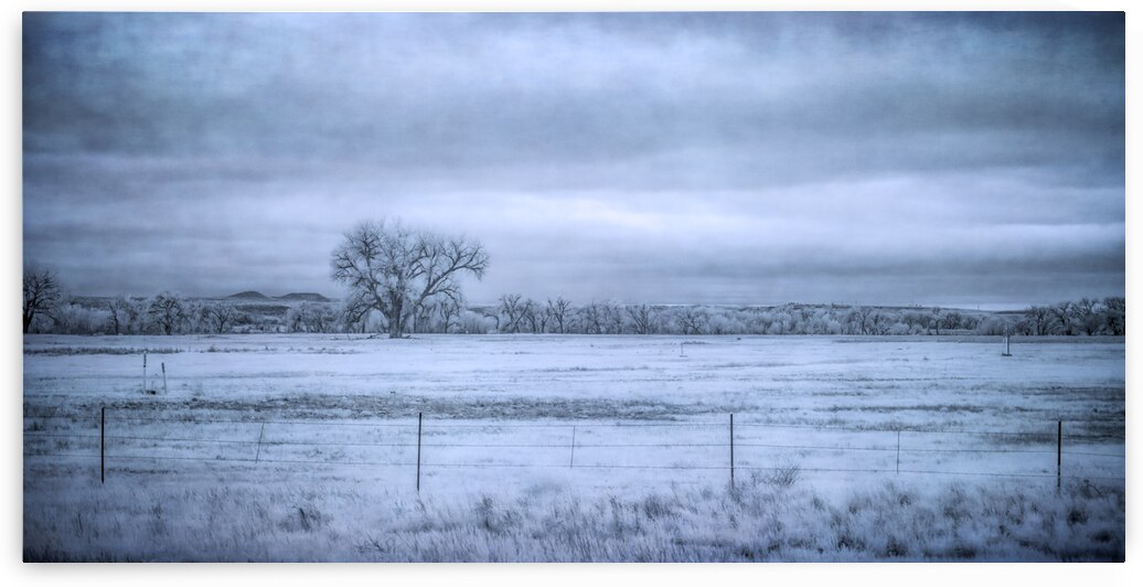 Wyomings Solitary Sentinel: A Moody Day in Fort Laramie by Dream World Images