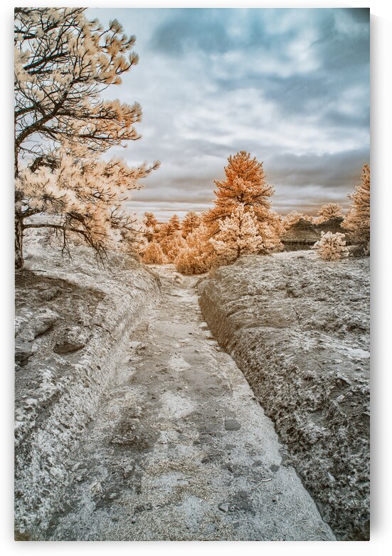 Wagon Trail Ruts by Dream World Images