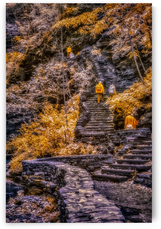 Golden Steps Ascent: A Color Infrared Symphony in Watkins Glen State Park by Dream World Images