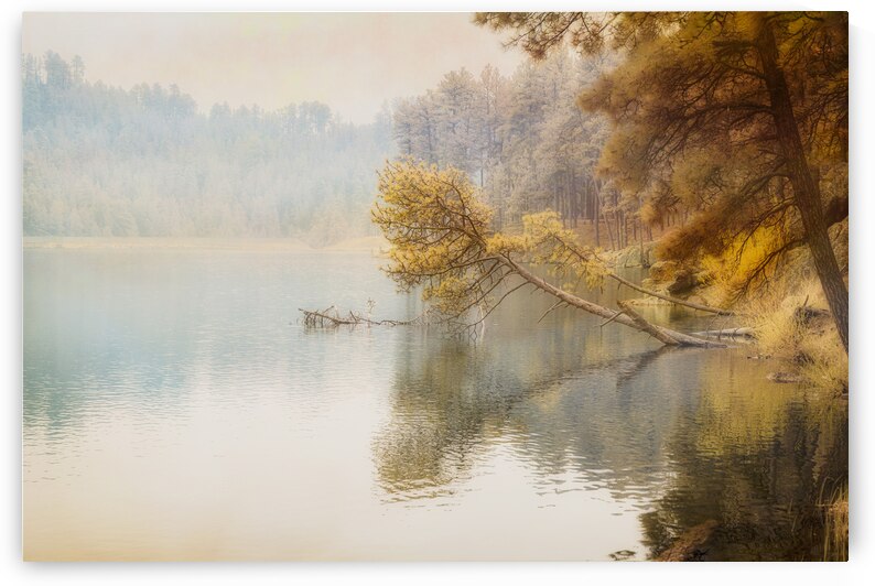 Canopy Cascade: Trees Adorn the Lakes Edge by Dream World Images