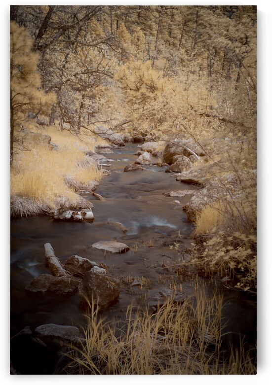 Grace Coolidge Creek -6 by Dream World Images