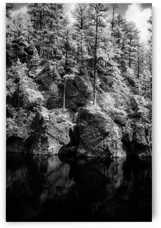 Pond Rock Wall Trees by Dream World Images